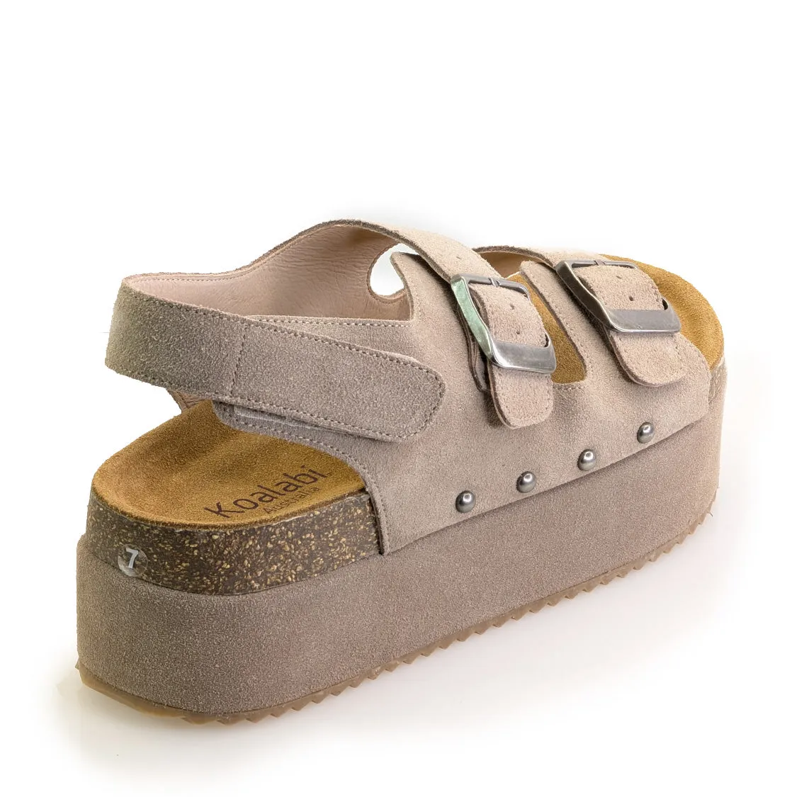 Birdie Platform