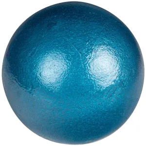 Champro 4K Iron Shot Put