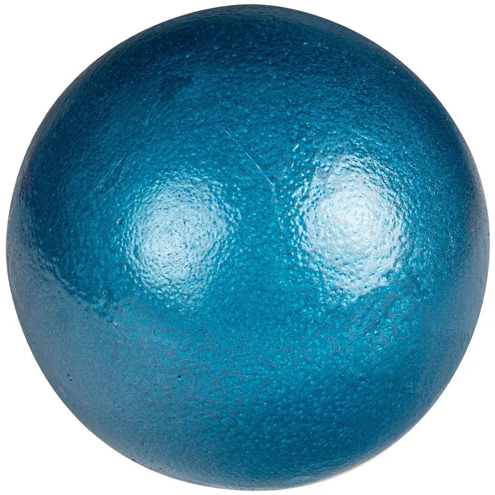 Champro 4K Iron Shot Put