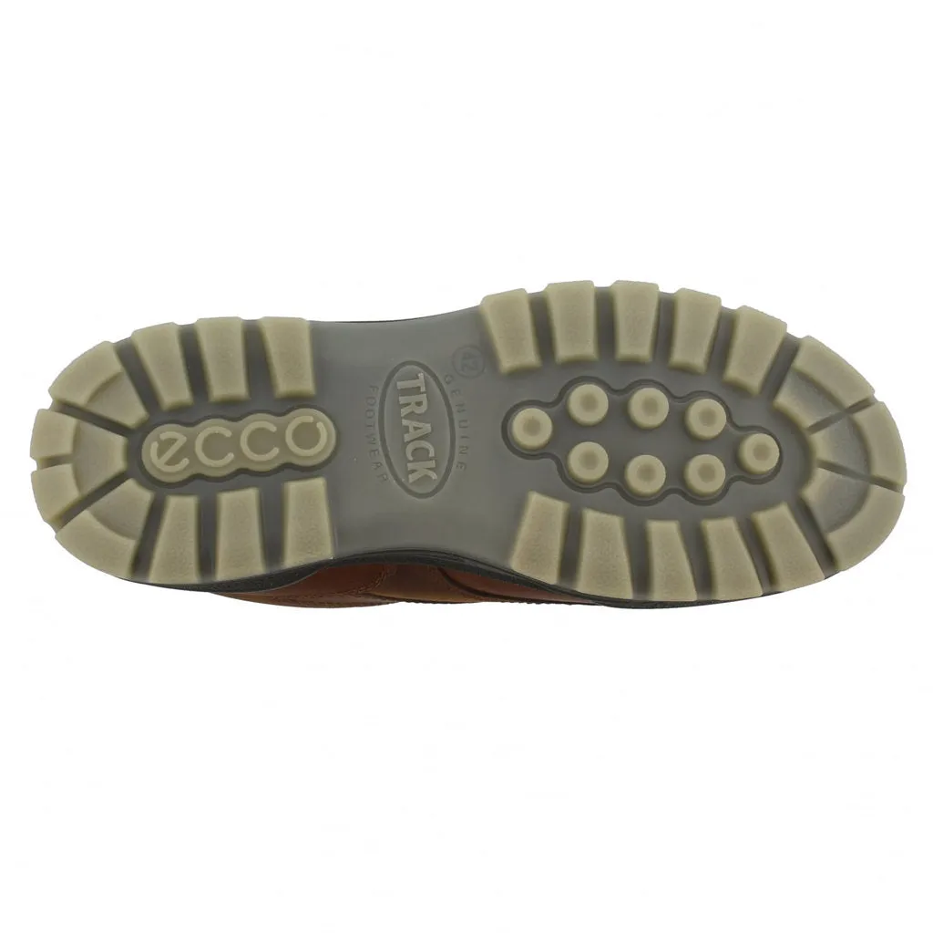 Ecco Track 25 Low GTX Waterproof Full Grain Leather Men's Shoes