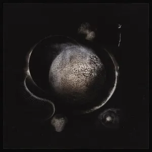 Enthroned - Cold Black Suns  (New CD)