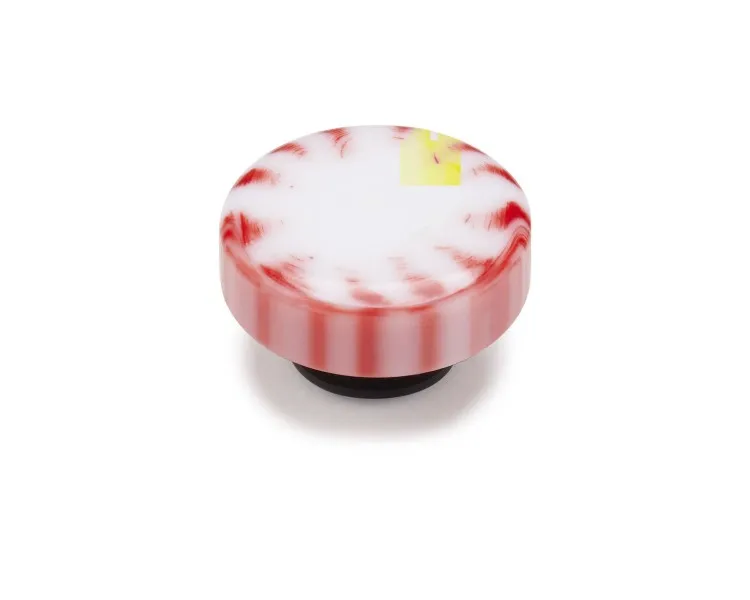 Jibbitz Christmas Peppermint
