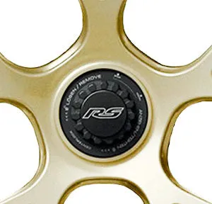 Litespeed Forged MAG  Wheels Porsche 992 GT3RS Track Package (RS5RR)